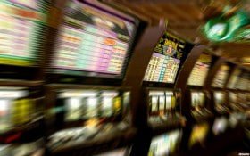 vbet88